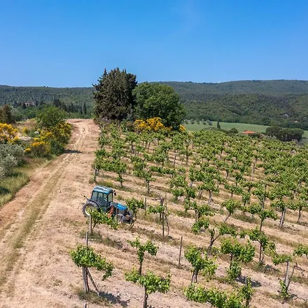 アグリツーリズモ イル カゾラーレ ディ ブッチャーノ