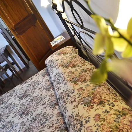 アグリツーリズモ イル カゾラーレ ディ ブッチャーノ ファームステイ *